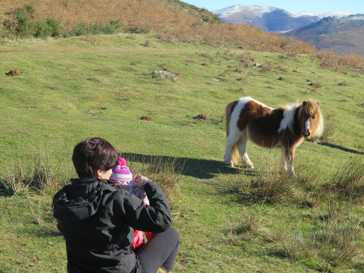 Casa Rural Urruska Elizondo Esterno foto