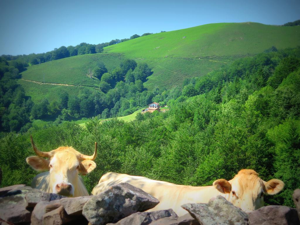 Casa Rural Urruska Elizondo Esterno foto