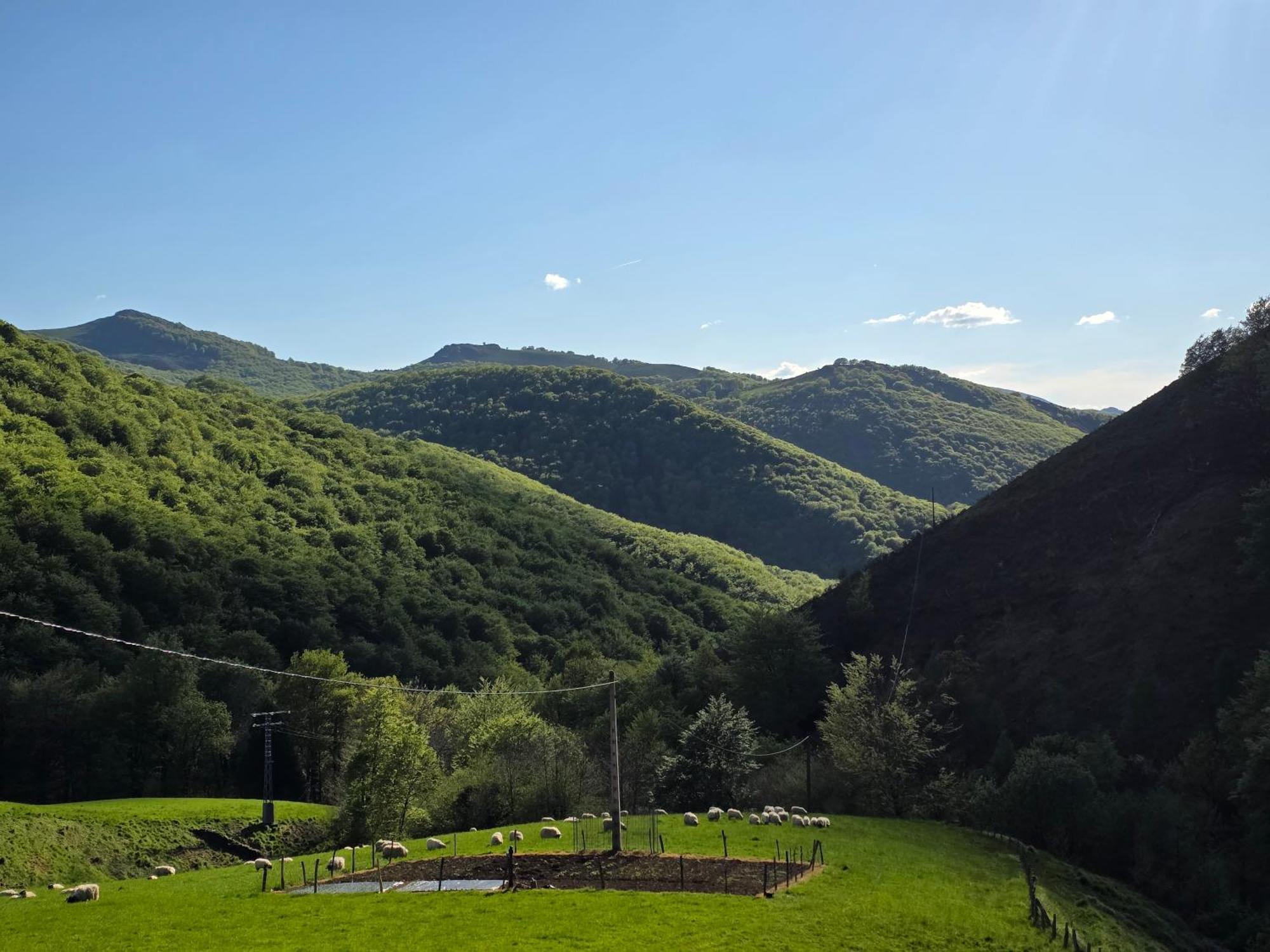 Casa Rural Urruska Elizondo Esterno foto