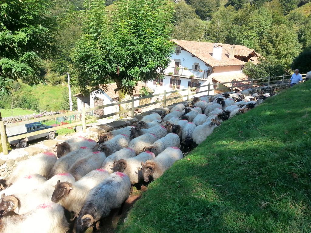 Casa Rural Urruska Elizondo Esterno foto