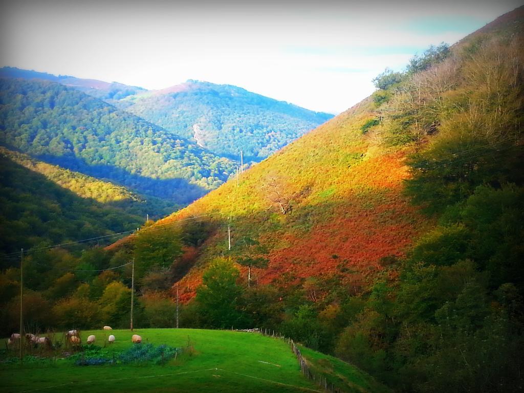 Casa Rural Urruska Elizondo Esterno foto