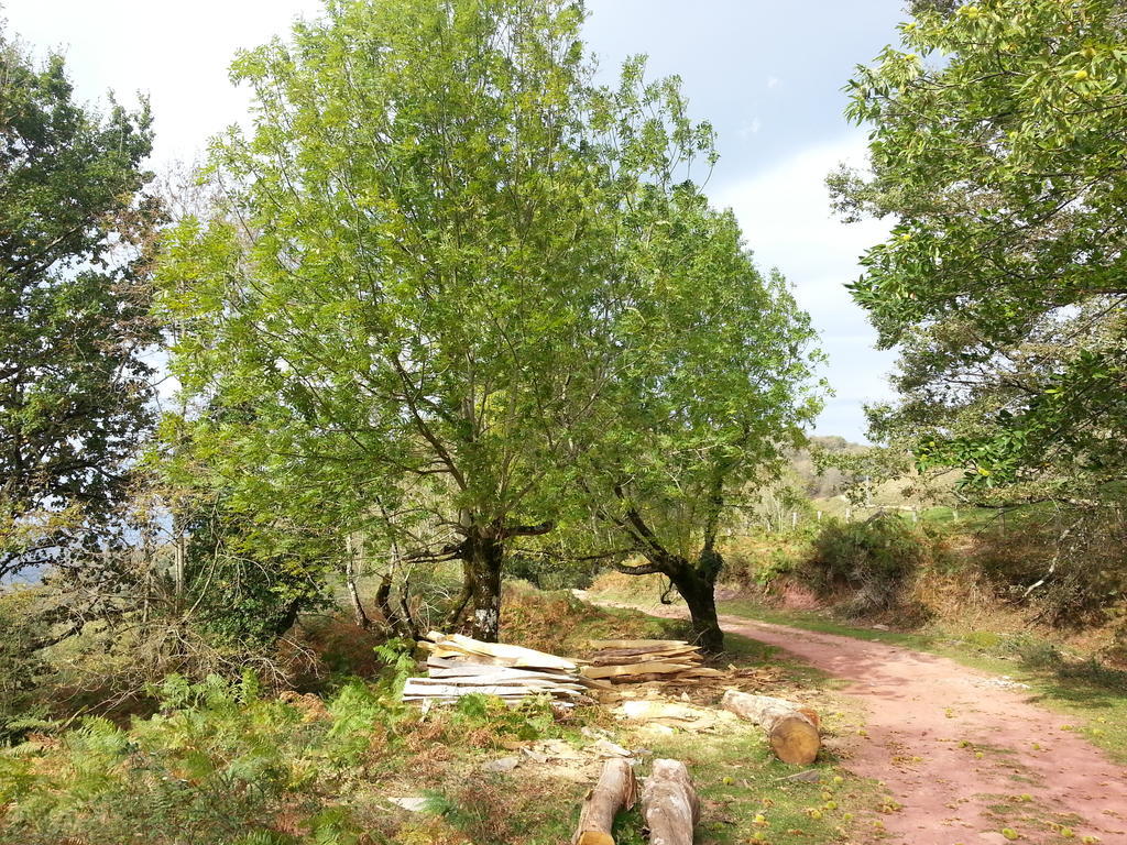 Casa Rural Urruska Elizondo Esterno foto