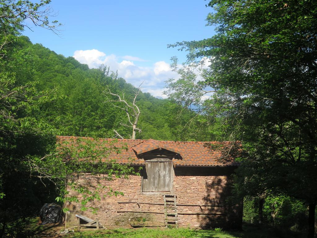 Casa Rural Urruska Elizondo Esterno foto